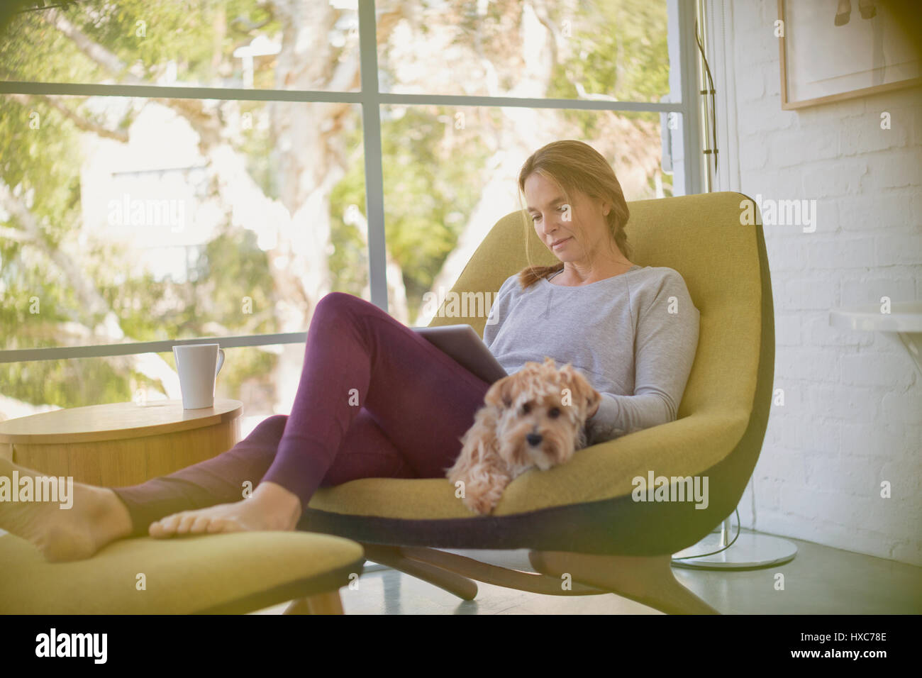 Woman with dog relaxing, using digital tablet in chair Stock Photo