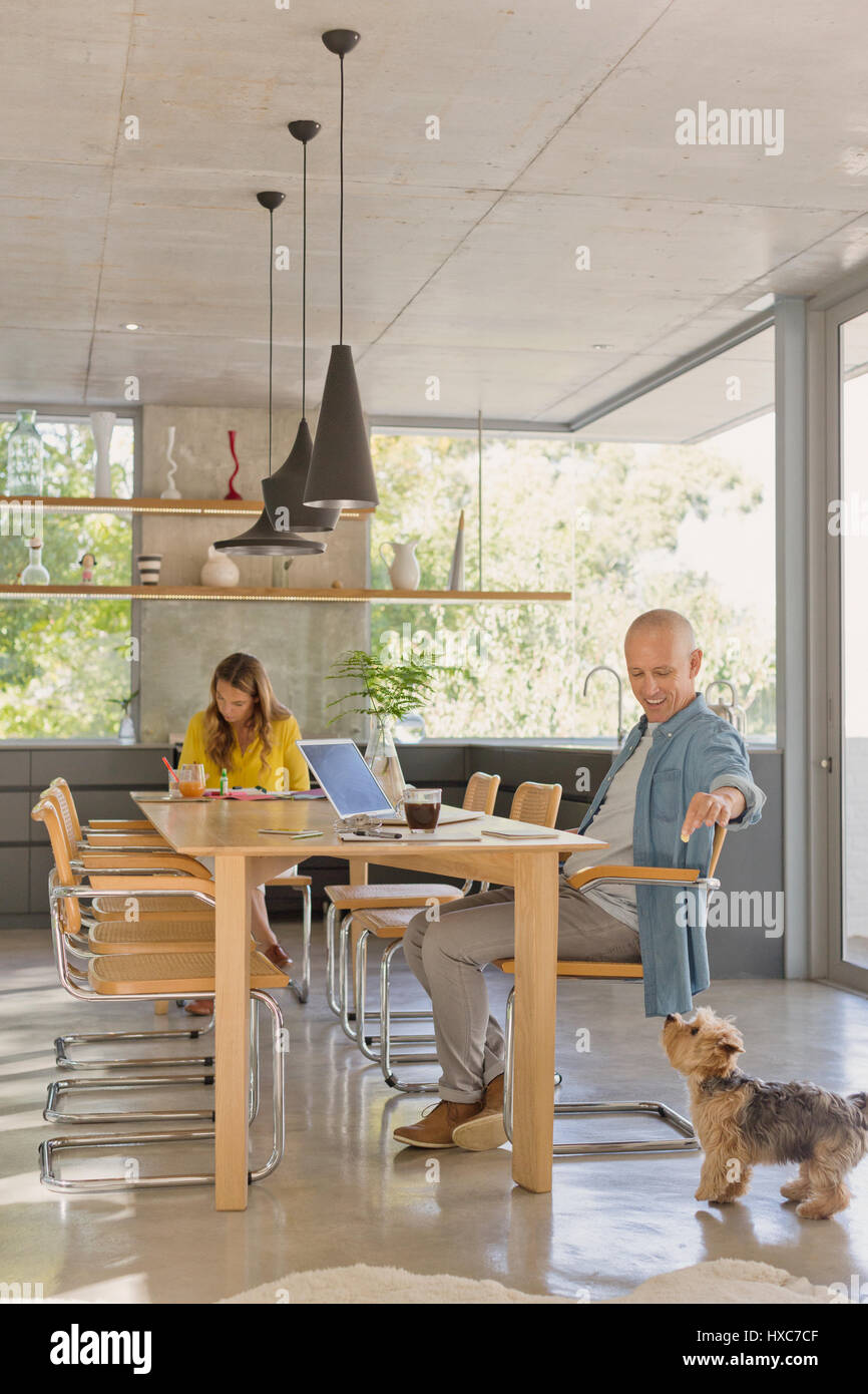 Man at dining table feeding dog Stock Photo Alamy