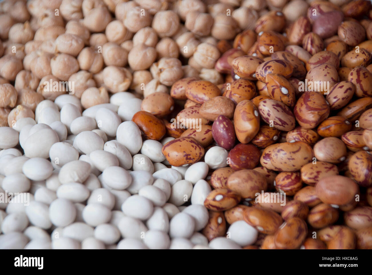 Mixed pulses for backgrounds texture Stock Photo