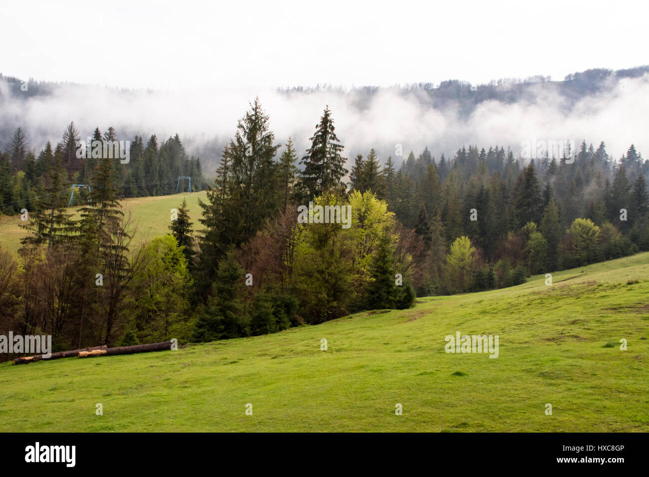 rural mountain landscape in a misty spring morning Stock Photo - Alamy