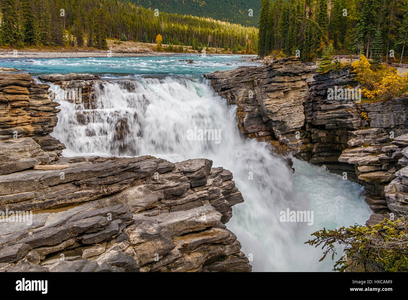 Athebasca Falls on the Athabasca River in Jasper National Park, Alberta, Canada. Stock Photo