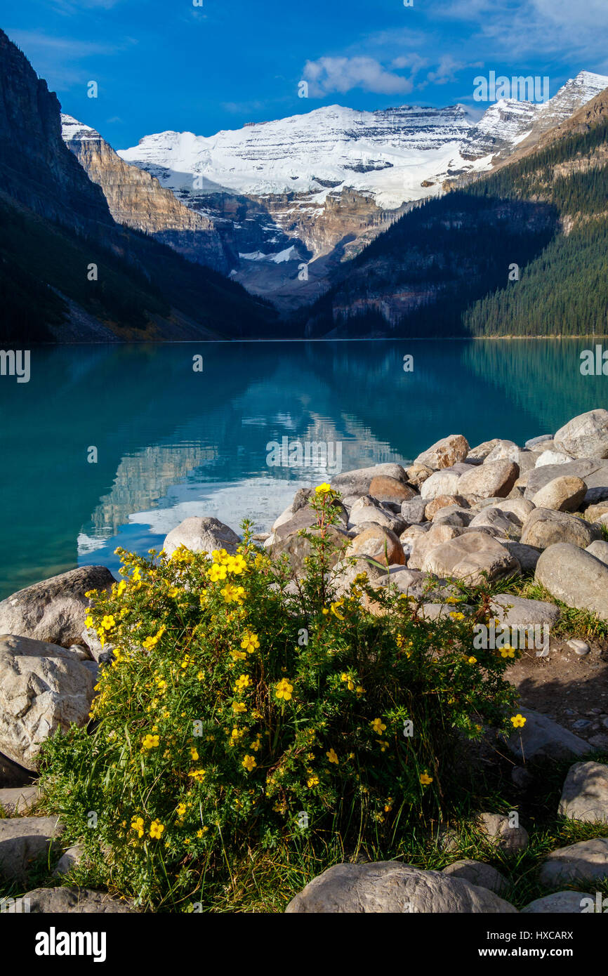 Lake Louise in Banff National Park, Alberta, Canada Stock Photo - Alamy