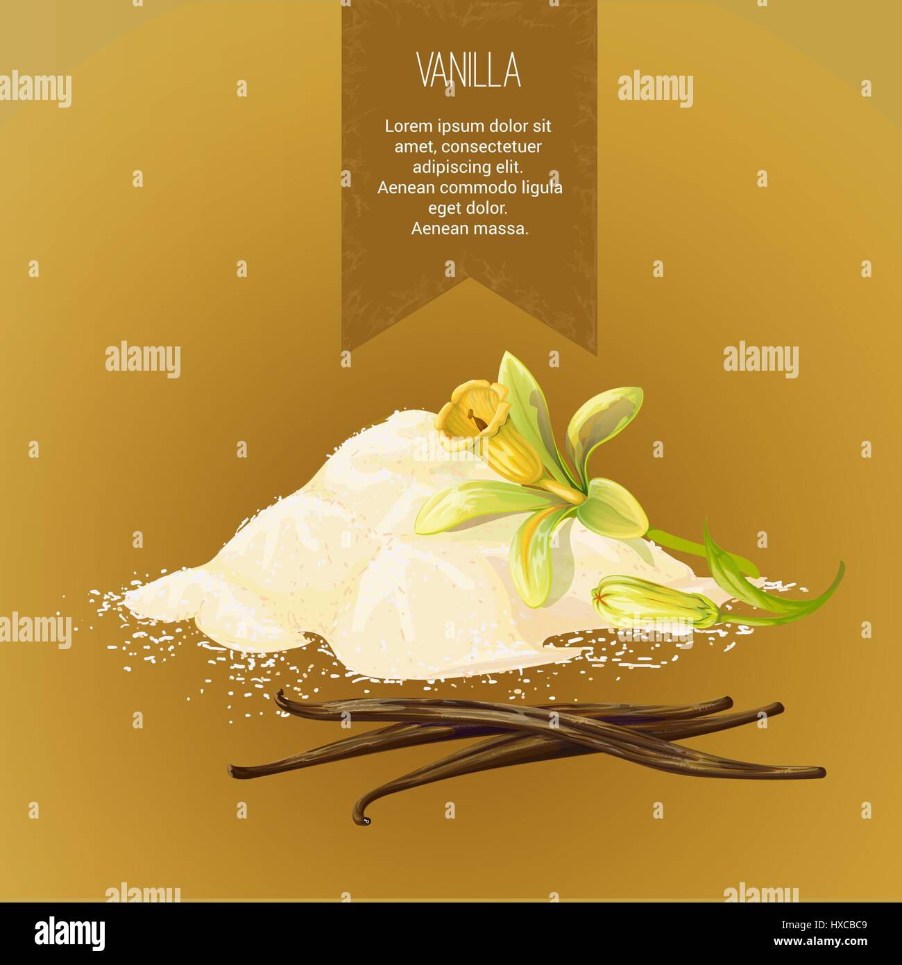 Vector composition of vanilla powder, vanilla sticks, and flower with buds. Label for promotional products. Done in a realistic style, isolated object Stock Vector