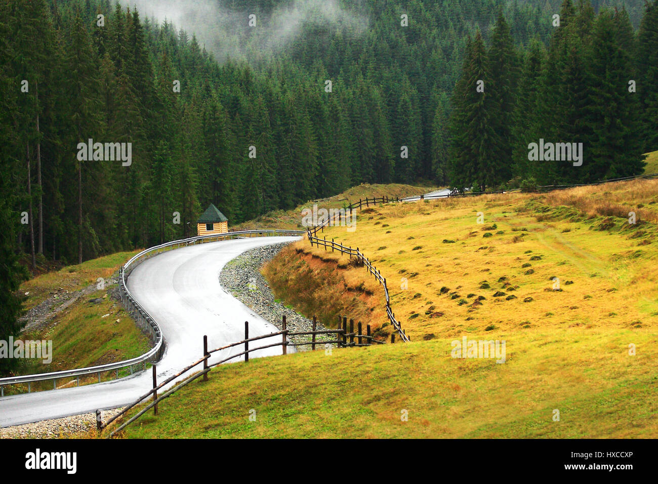 Free winding mountain road. Mountain serpentine between green christmas trees. Beautiful traveling background. Stock Photo