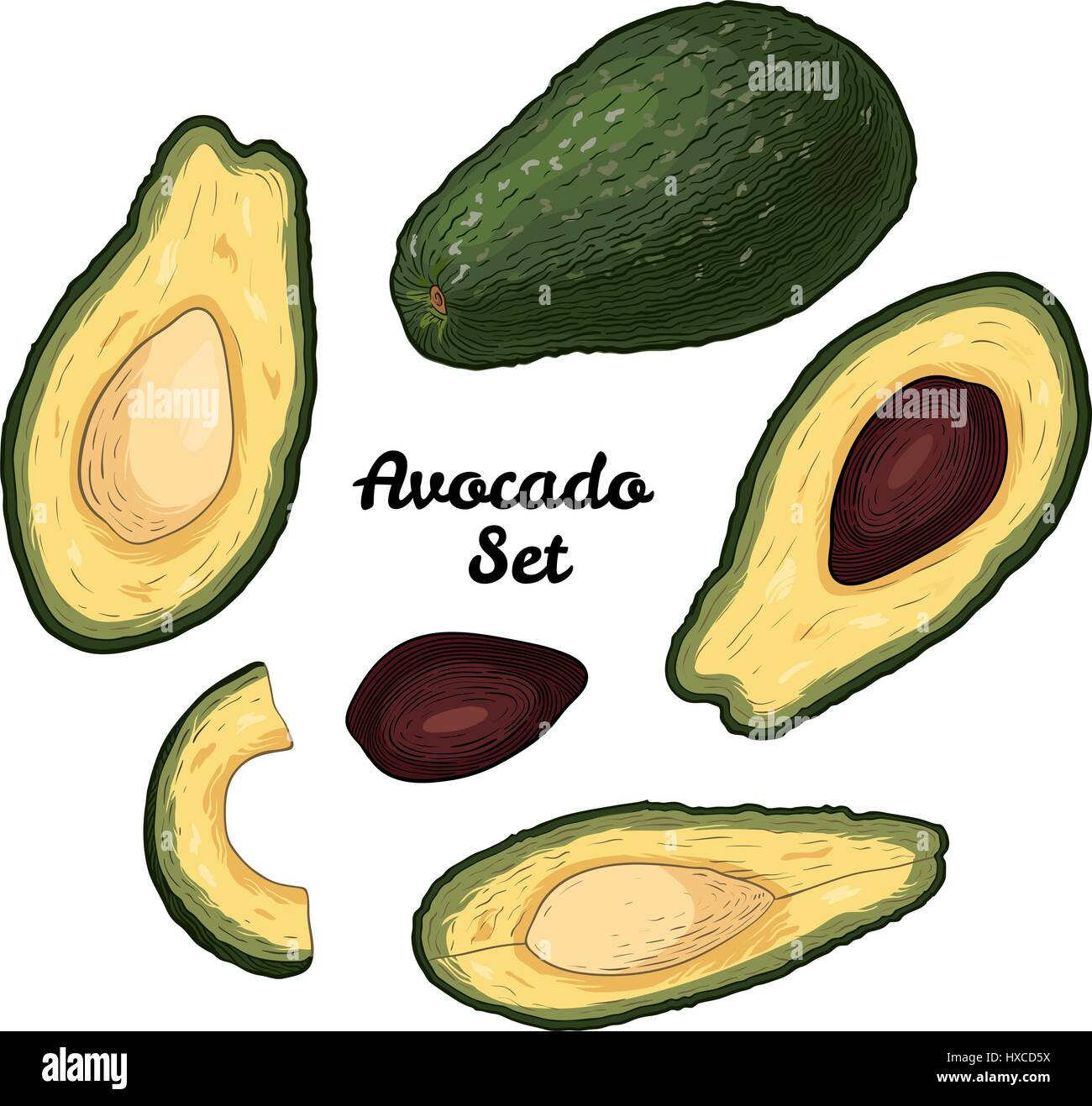 Hand drawn engraved colorful avocado set isolated on white background ...