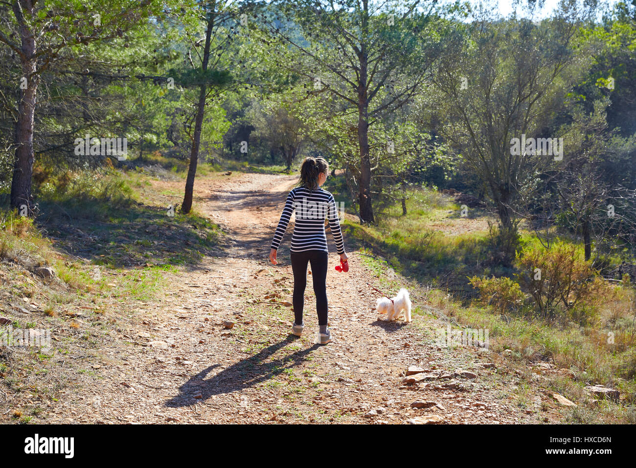 Teen girl walking with a white maltichon dog in forest track Stock Photo