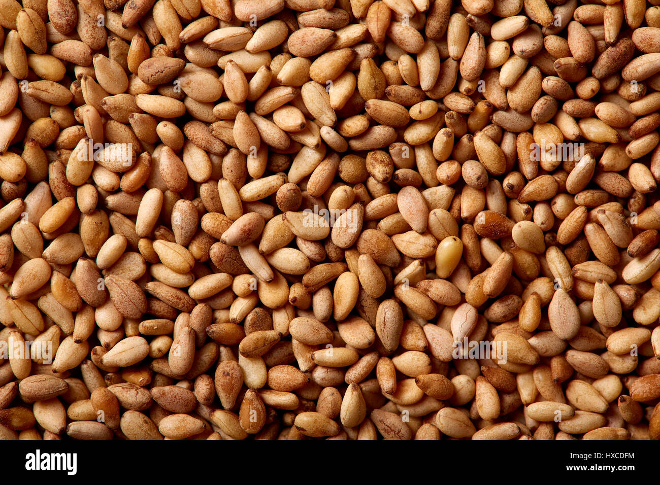 Sesame seeds texture macro detail background Stock Photo Alamy