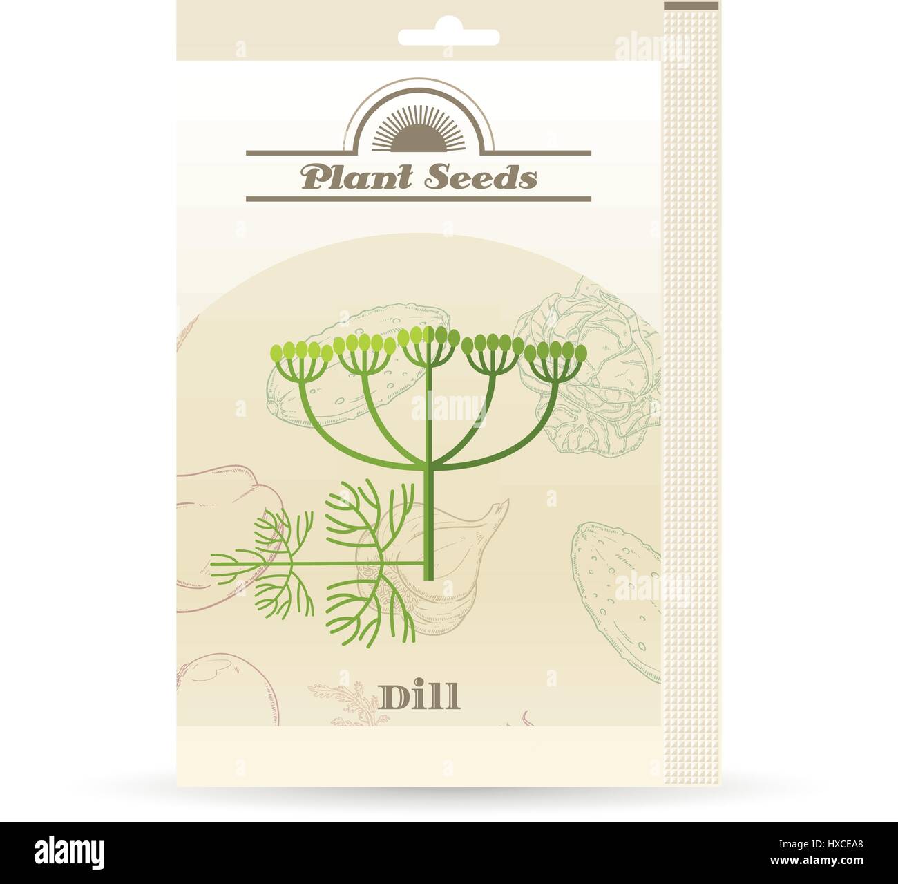 Pack of Dill seeds icon Stock Vector