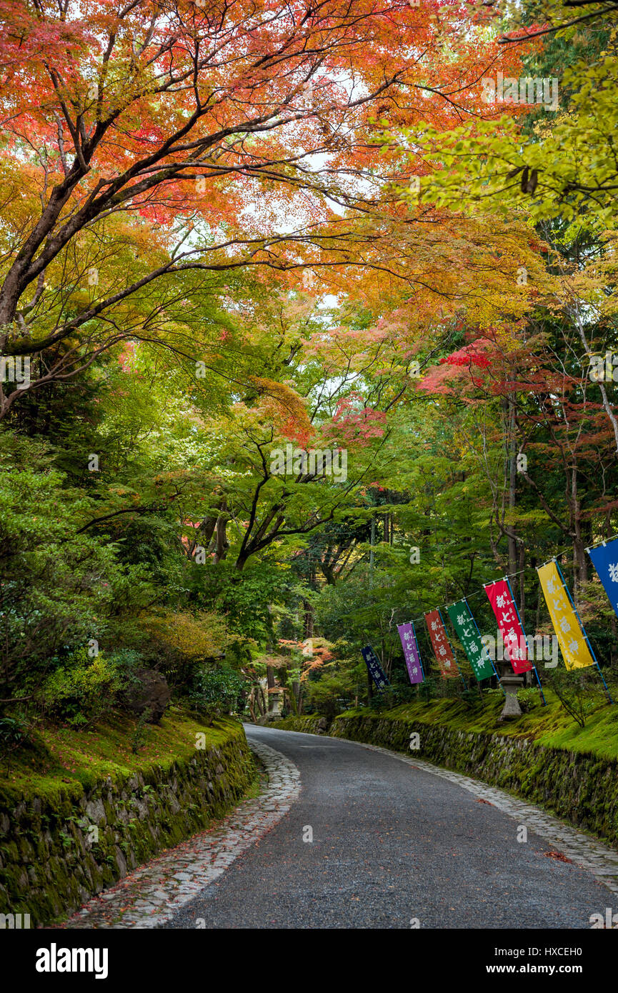 Colourful leaves in Japanese garden in Kyoto during autumn Stock Photo ...