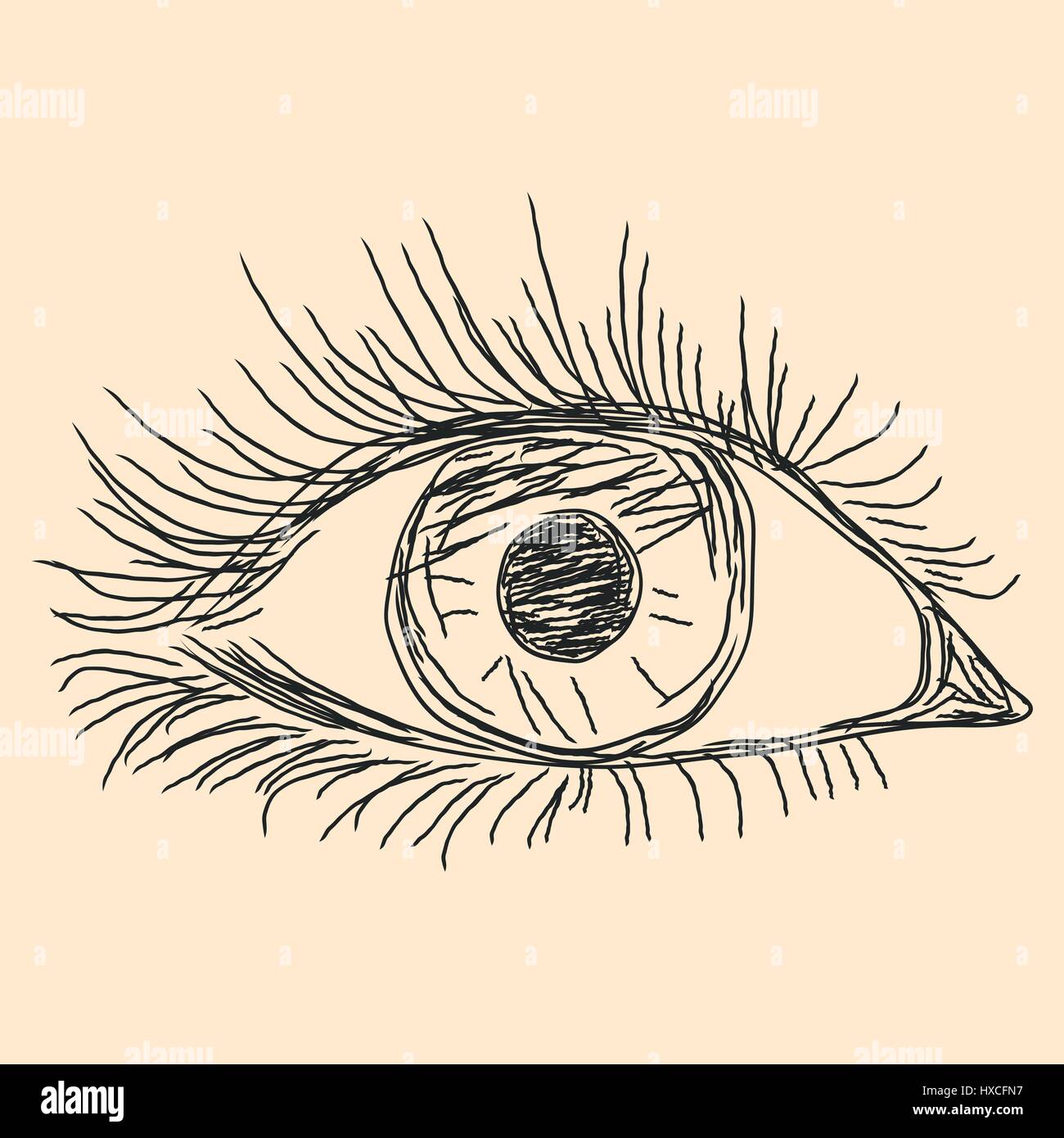 Human eye, hand drawn vector sketch on the beige background Stock Vector