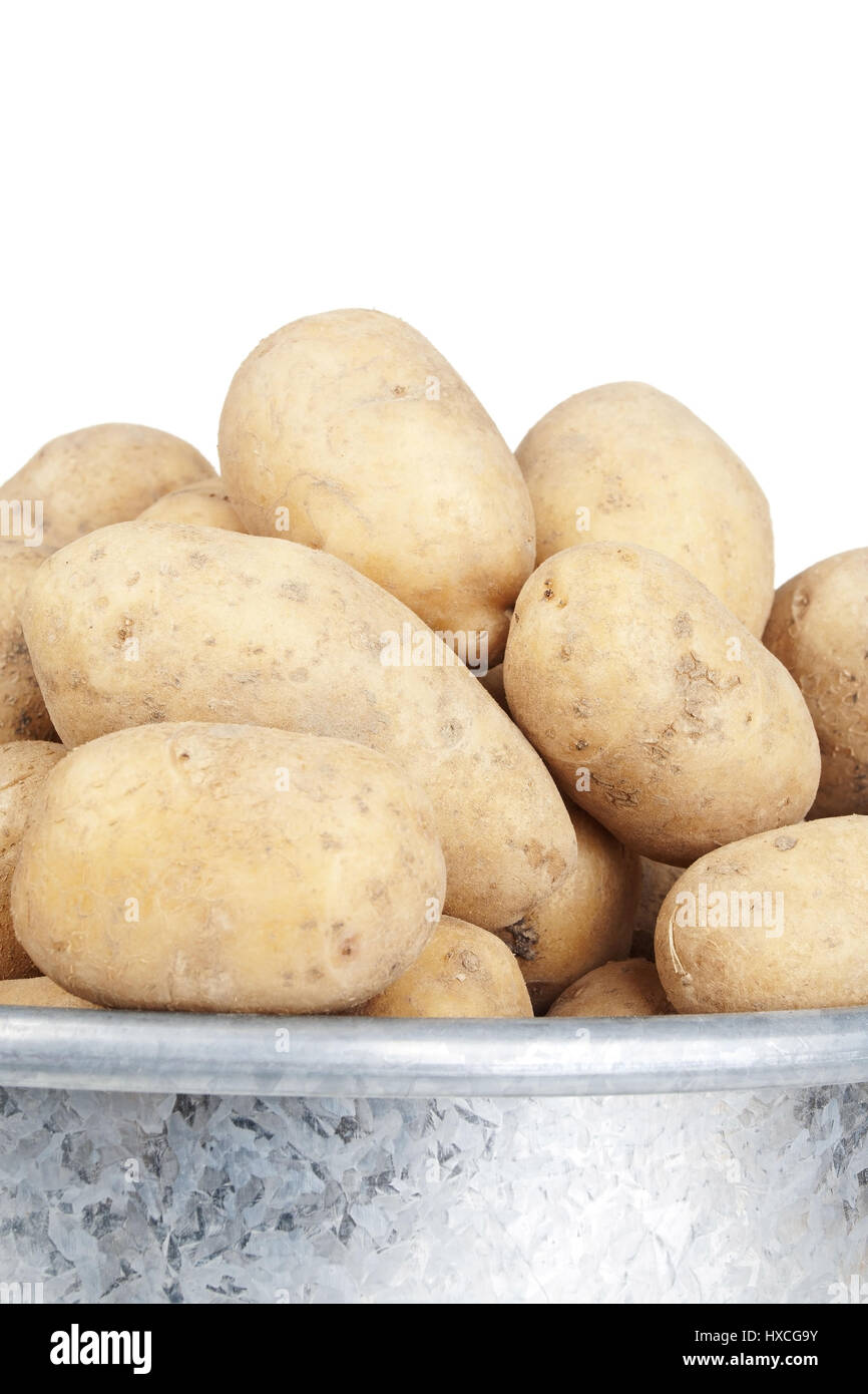 Potatoes in a metal bucket, Potatoes in a metal bucket |, Kartoffeln in einem Blecheimer |Potatoes in a metal bucket| Stock Photo