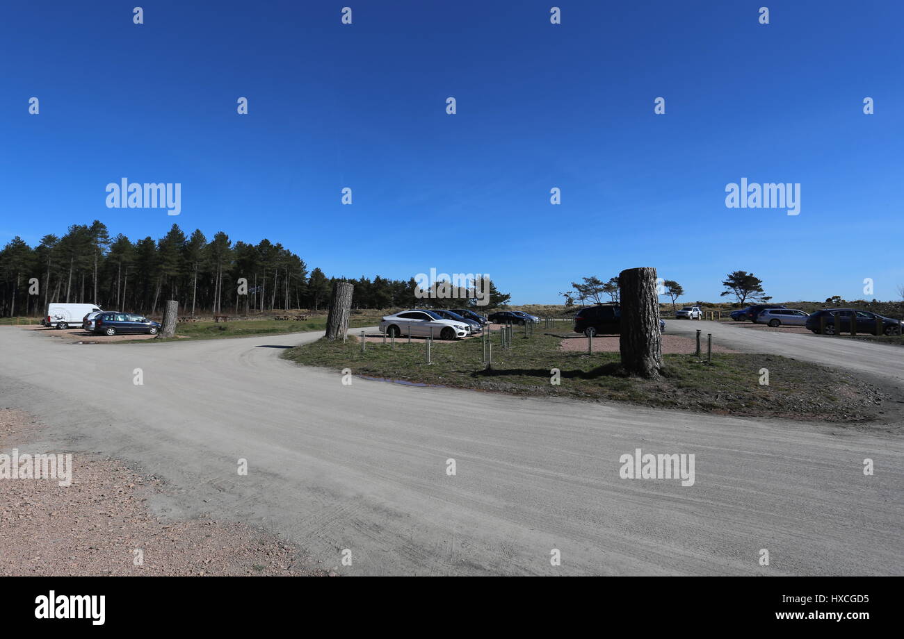 Tentsmuir forest car park Fife Scotland March 2017 Stock Photo Alamy