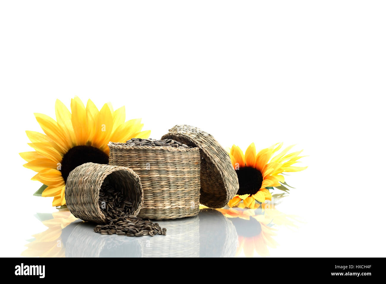 Sunflower cores, Sonnenblumenkerne Stock Photo
