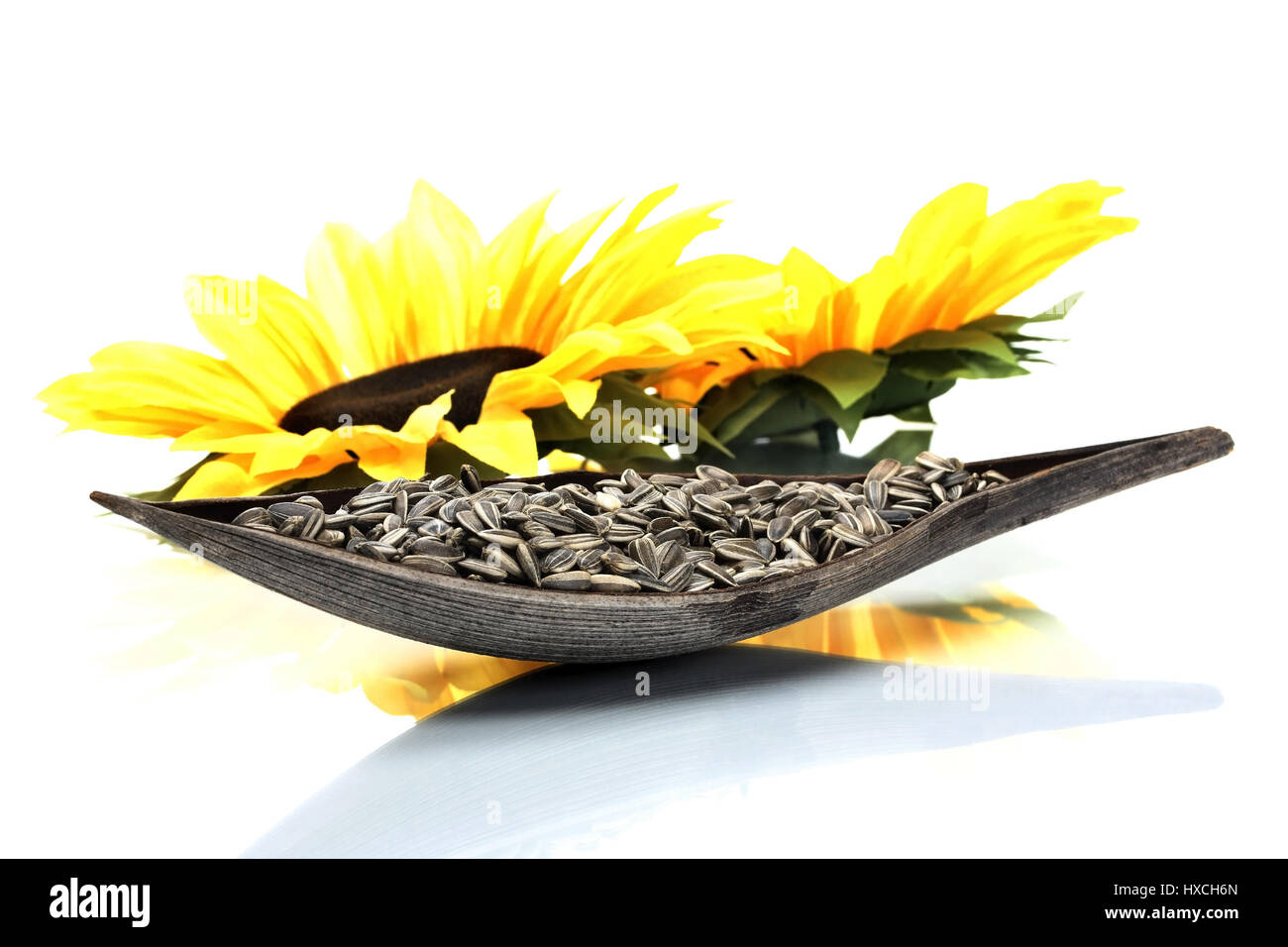 Sunflower cores, Sonnenblumenkerne Stock Photo