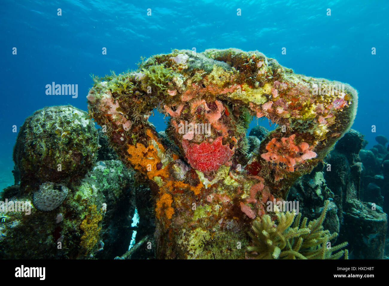 Silent Evolution sculpture encusted with colourful new life, at the MUSA underwater museum Stock Photo