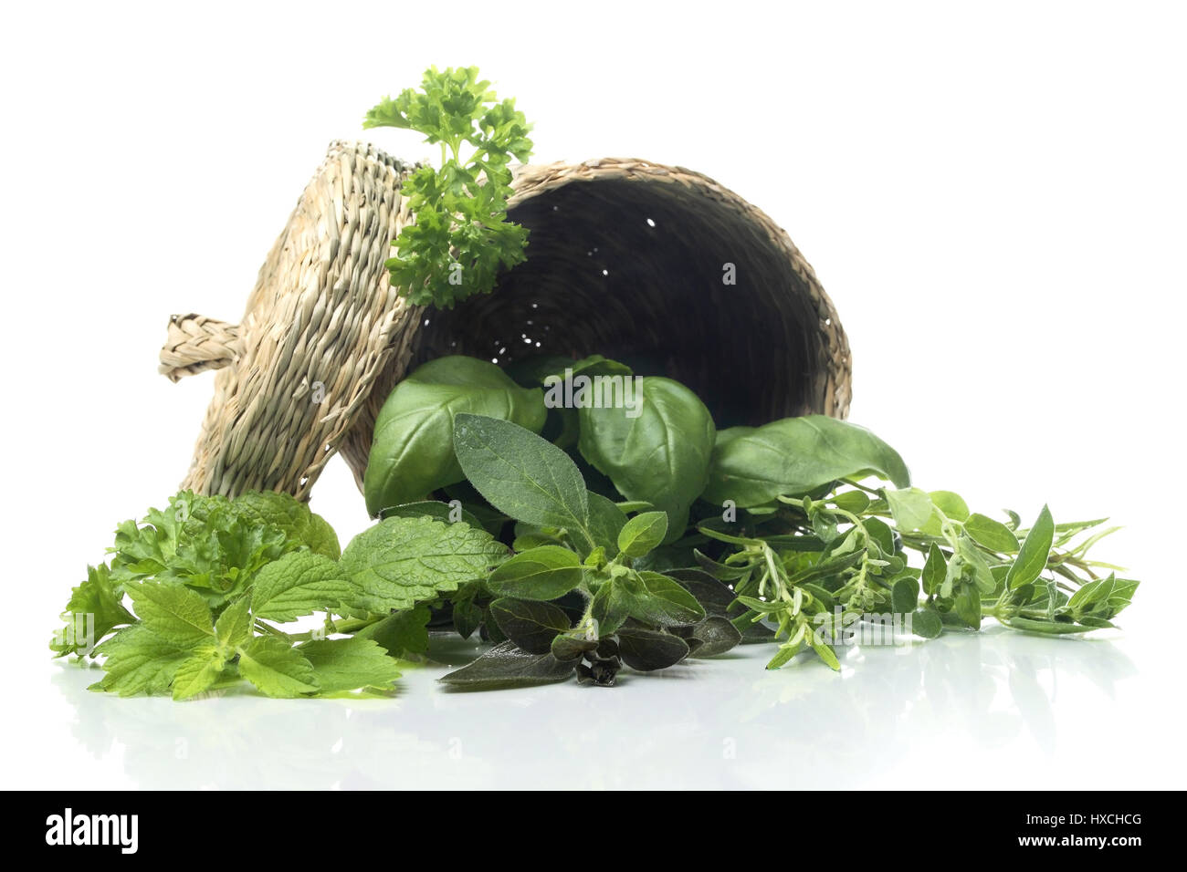 Basket with herbs, Korb mit Kraeuter Stock Photo