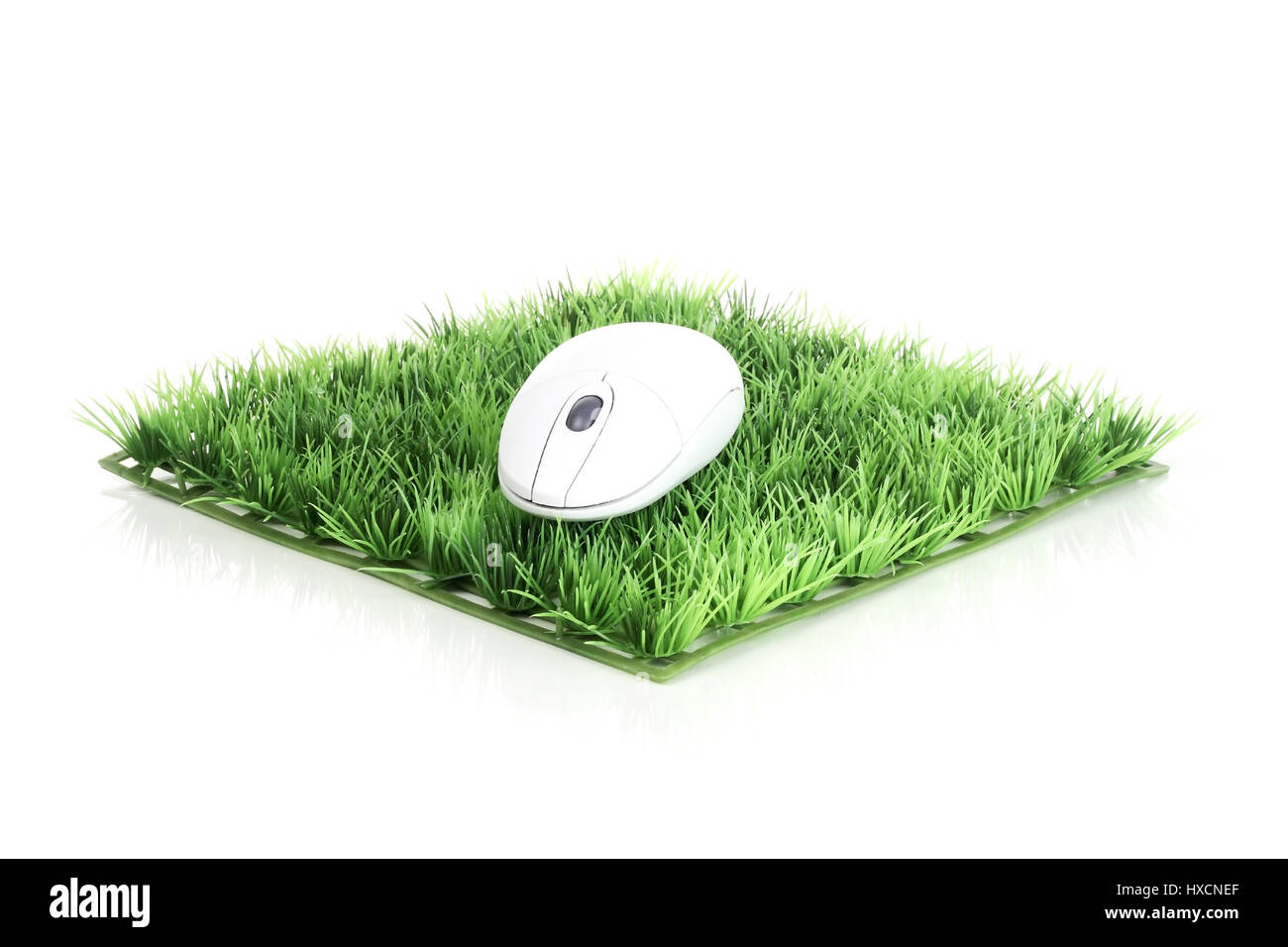 Computer mouse on art lawn, computer mouse on artificial Grass |,  Computermaus auf Kunstrasen |Computer mouse on artificial grass| Stock  Photo - Alamy