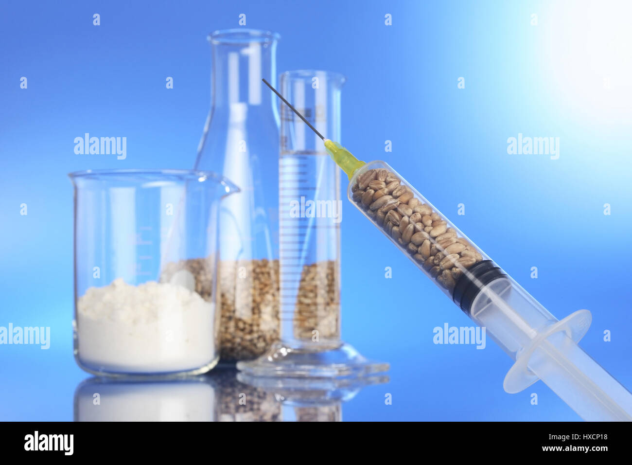 Wheat from the lab, Weizen aus dem Labor Stock Photo