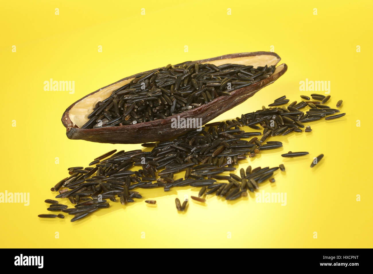 Wild rice, Wildreis Stock Photo Alamy