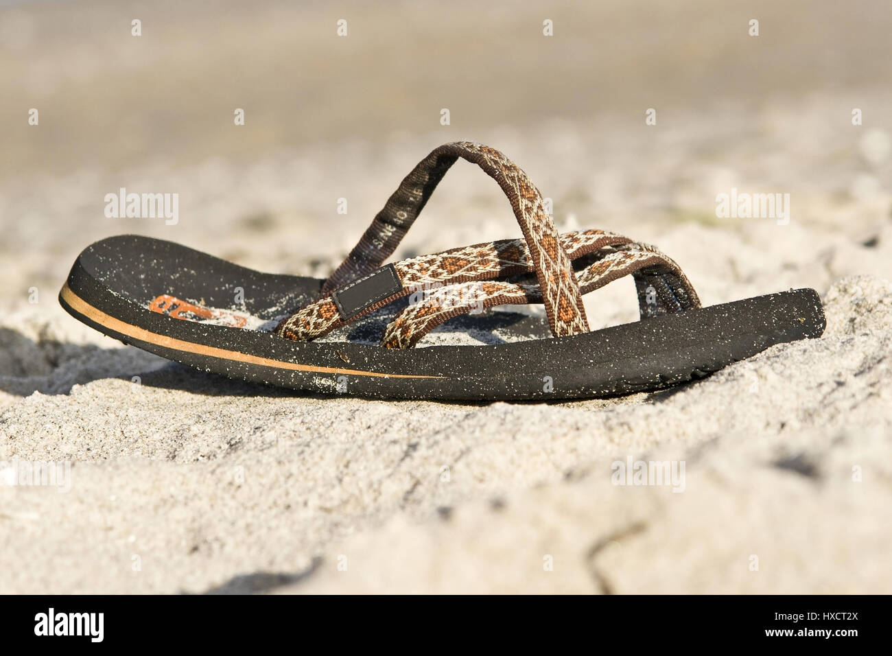 An alluvial bath sandal on a beach on the Baltic Sea, In alluvial Bathing At a beach on the Baltic Sea |, Eine angespülte Badesandale an einem Strand  Stock Photo