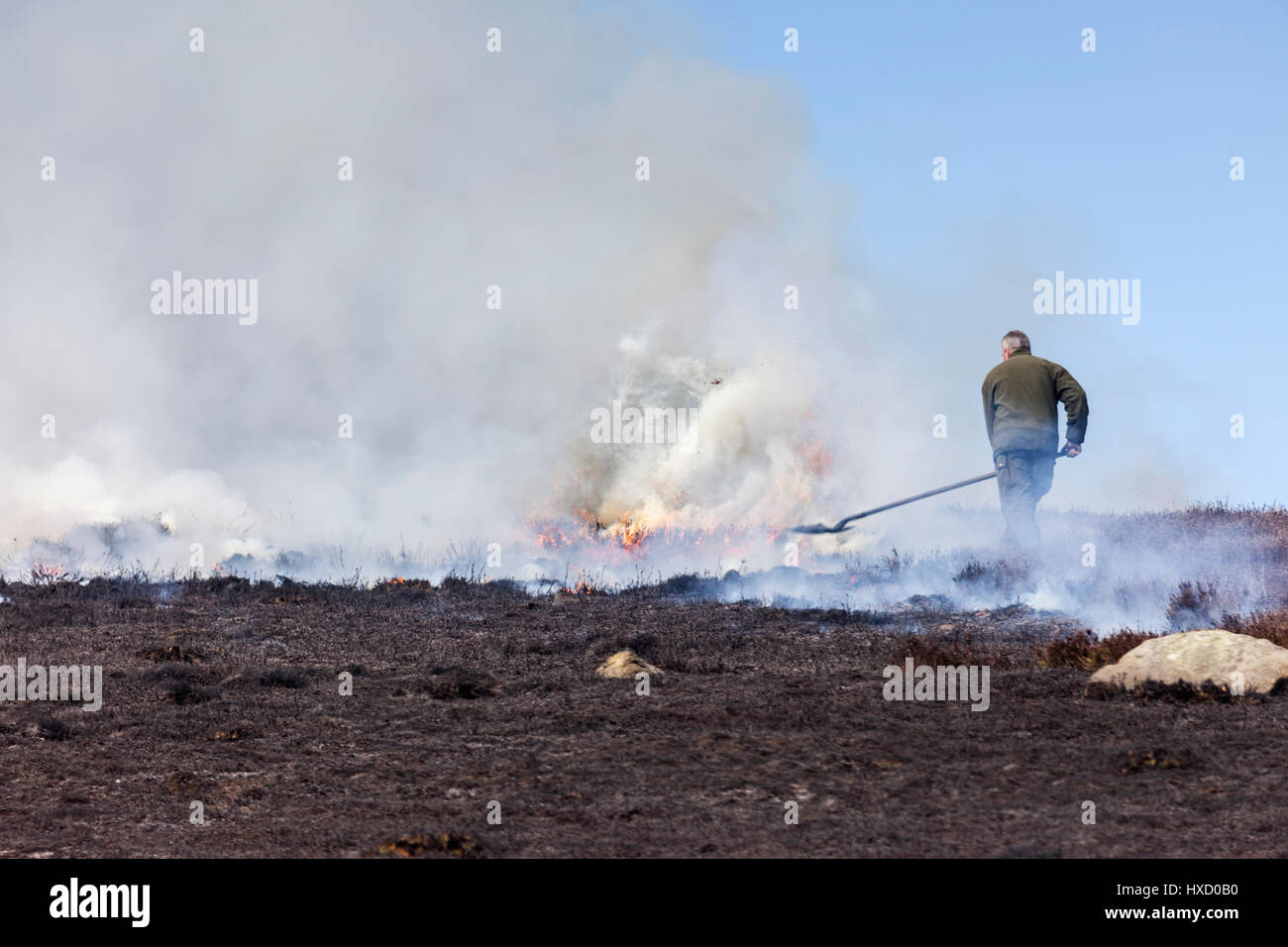County Durham UK. Monday 27th March. UK Weather. Controlled heather burning of the grouse moors continues during the warm spring weather in the North Pennines. The heather is burned in a rotation in order to provide fresh young heather shoots for the Red Grouse to feed on. Credit: David Forster/Alamy Live News Stock Photo