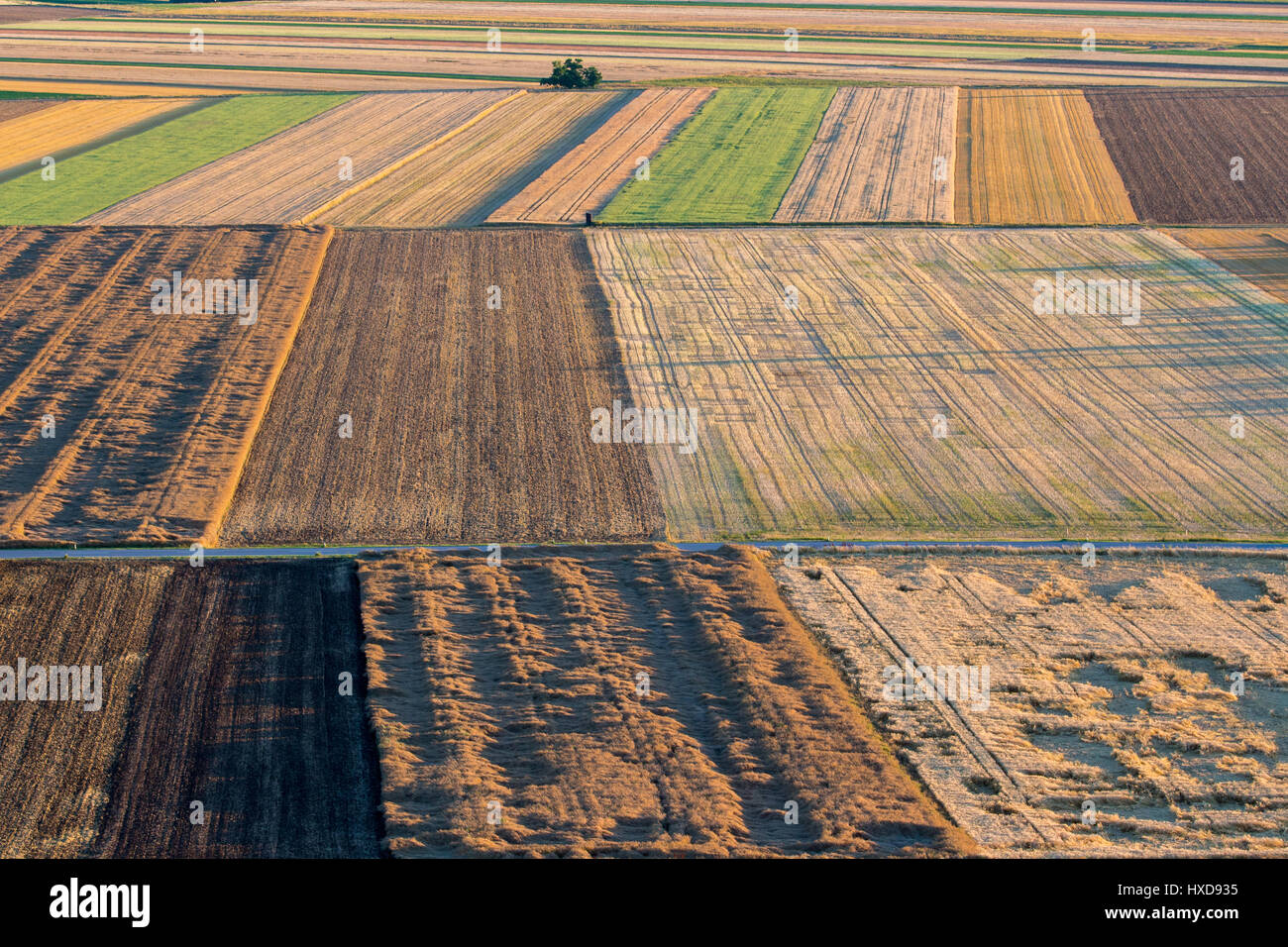 Turf patterns hi-res stock photography and images - Alamy