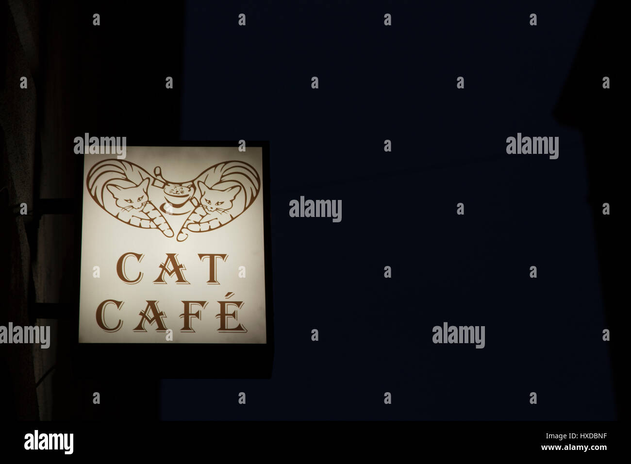 Cat cafe budapest hires stock photography and images Alamy