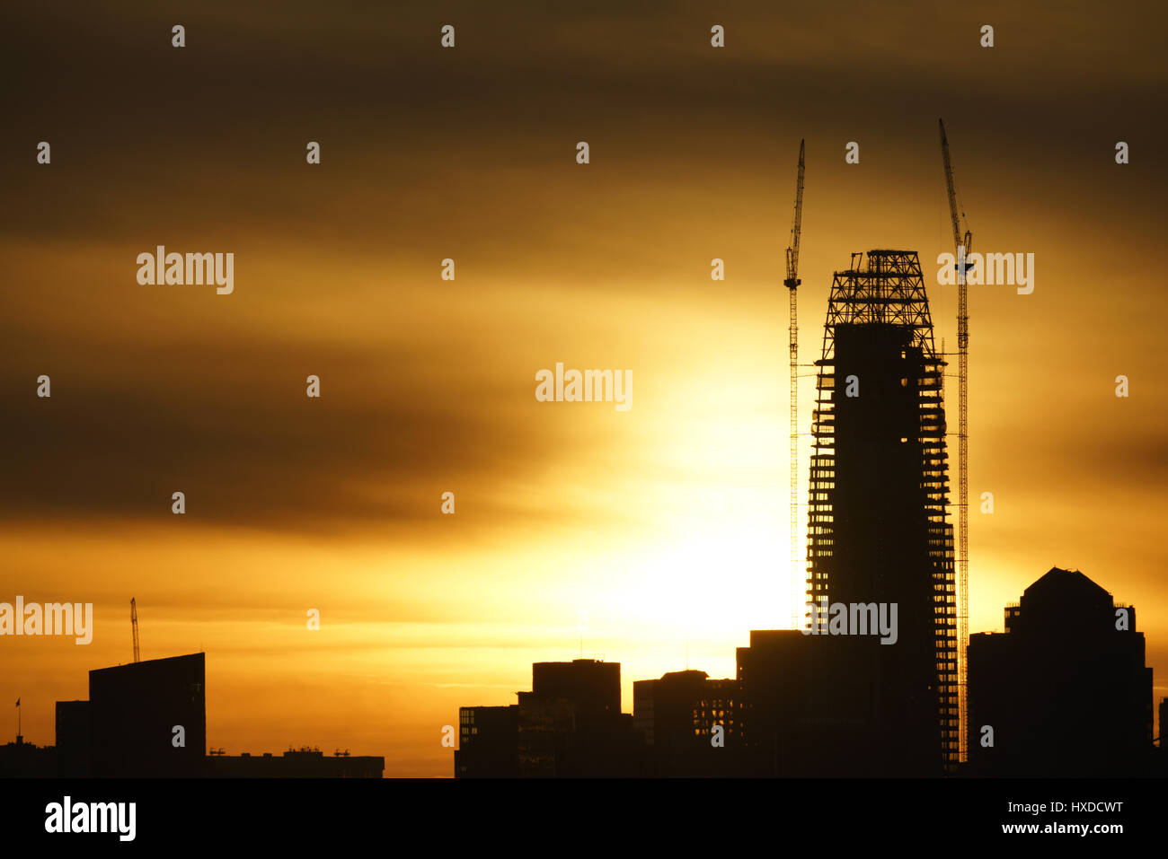Salesforce Tower San Francisco Skyline Stock Photo Alamy