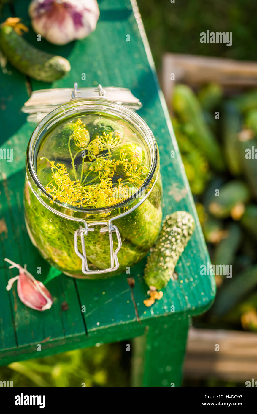 Small jar with gherkins Stock Photo Alamy