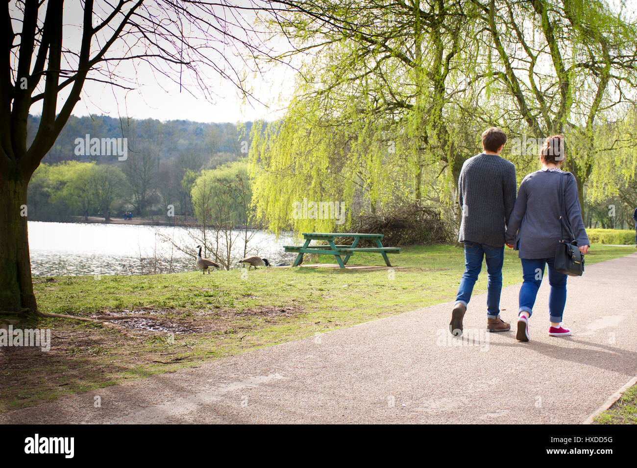 Couple holding hands in nature hi-res stock photography and images - Alamy