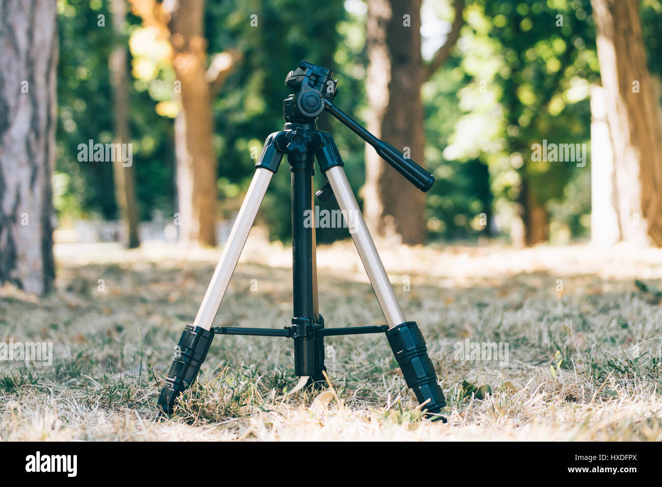 Tripod stands on the grass in the forest Stock Photo - Alamy