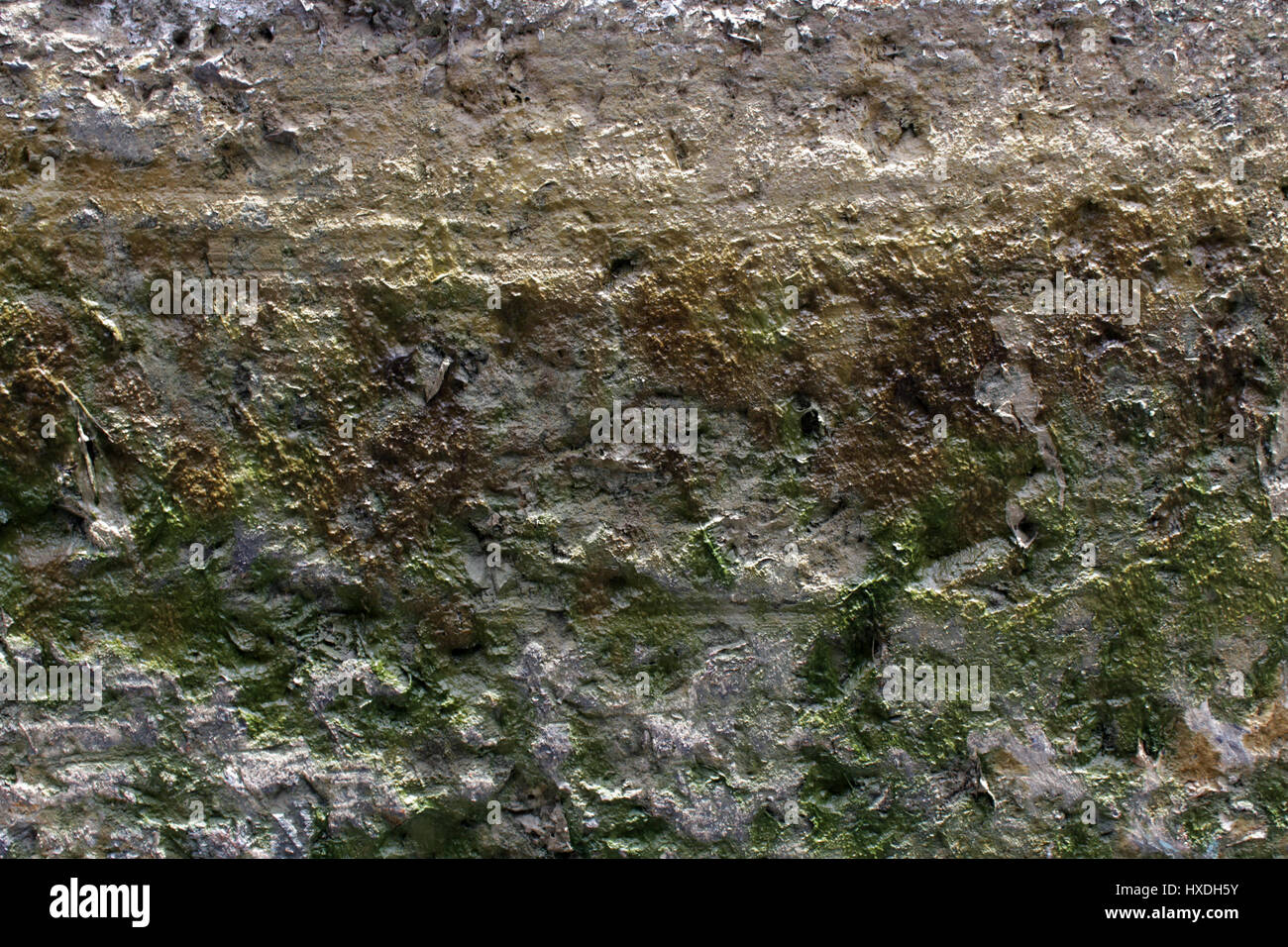 Slimy Rocks Slimy rock texture hi-res stock photography and images - Alamy