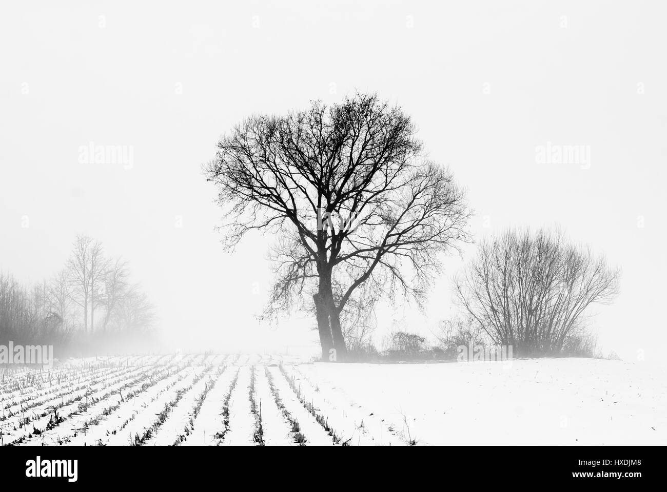 Soil 4 Black and White Stock Photos & Images - Alamy