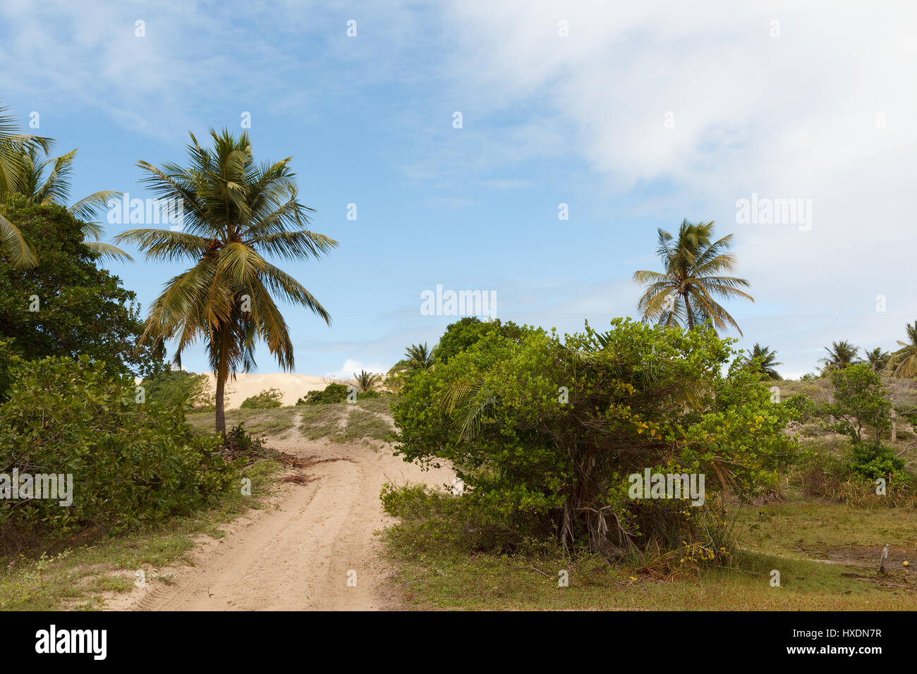 Jandaíra Bahia fonte: c8.alamy.com
