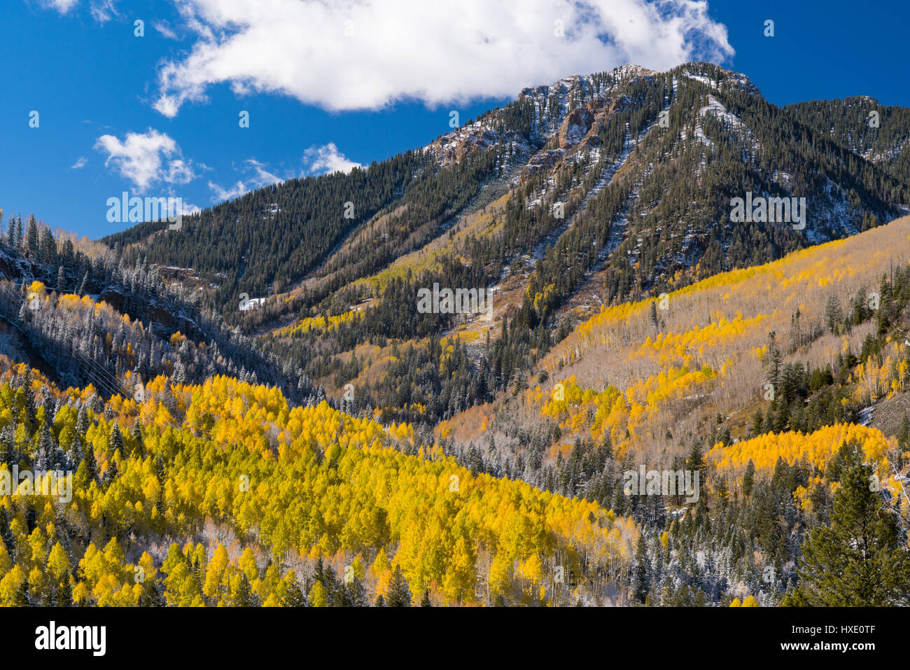 San juan wilderness hi-res stock photography and images - Alamy