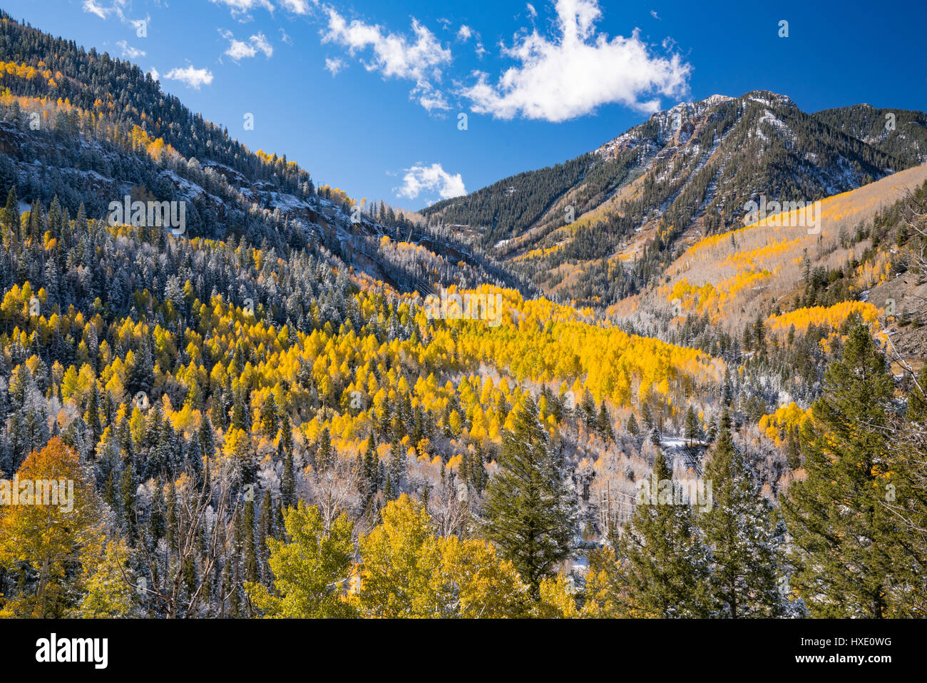 San juan wilderness hi-res stock photography and images - Alamy