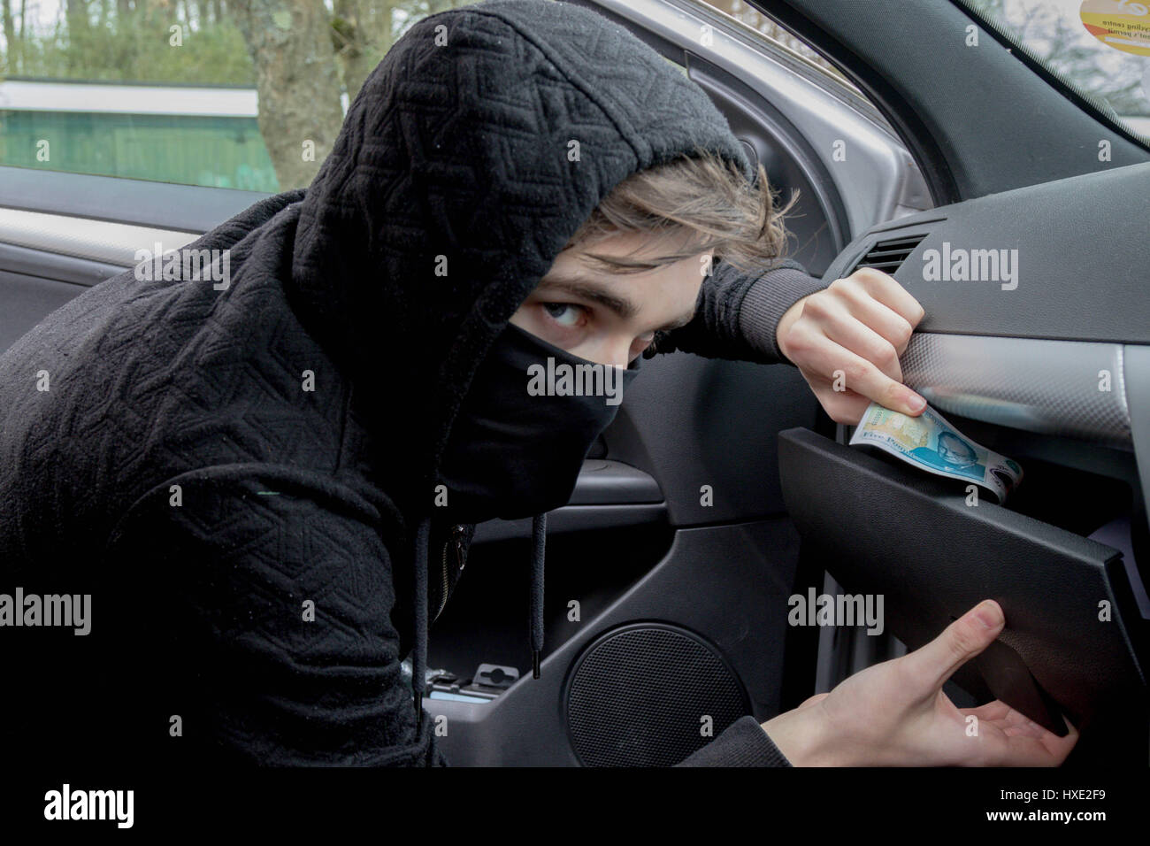 Stealing From A Car High Resolution Stock Photography And Images Alamy