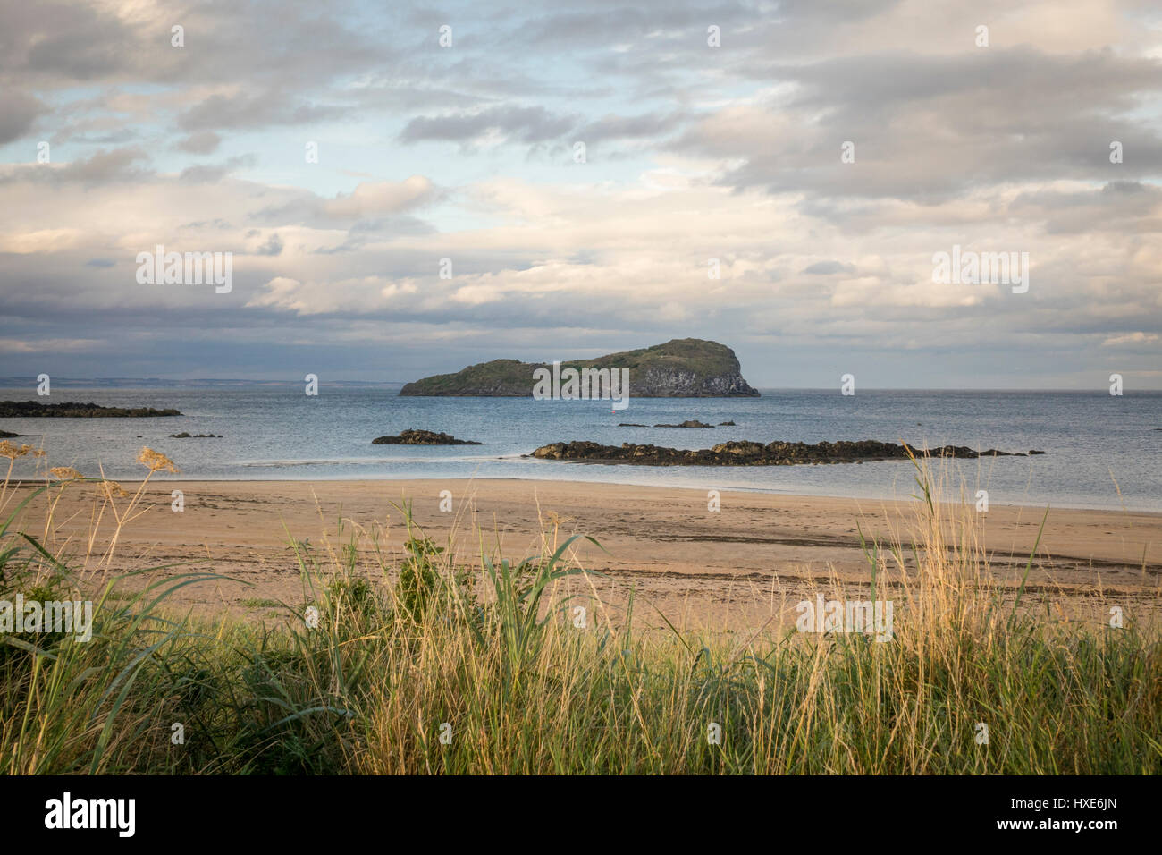 West Bay, North Berwick, Scotland Stock Photo Alamy