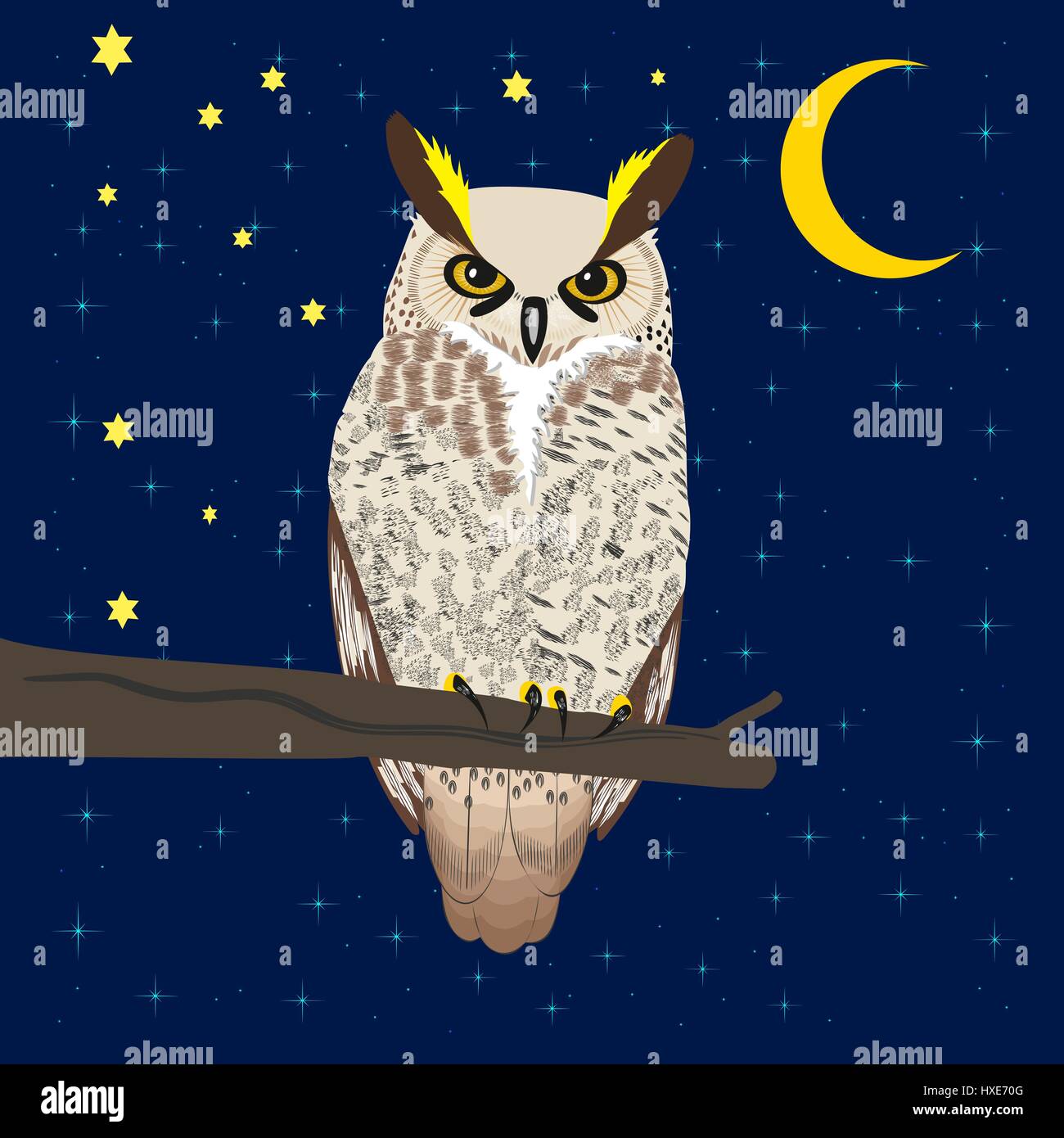 Owl sits on a tree branch under the moon and starry sky Stock Vector