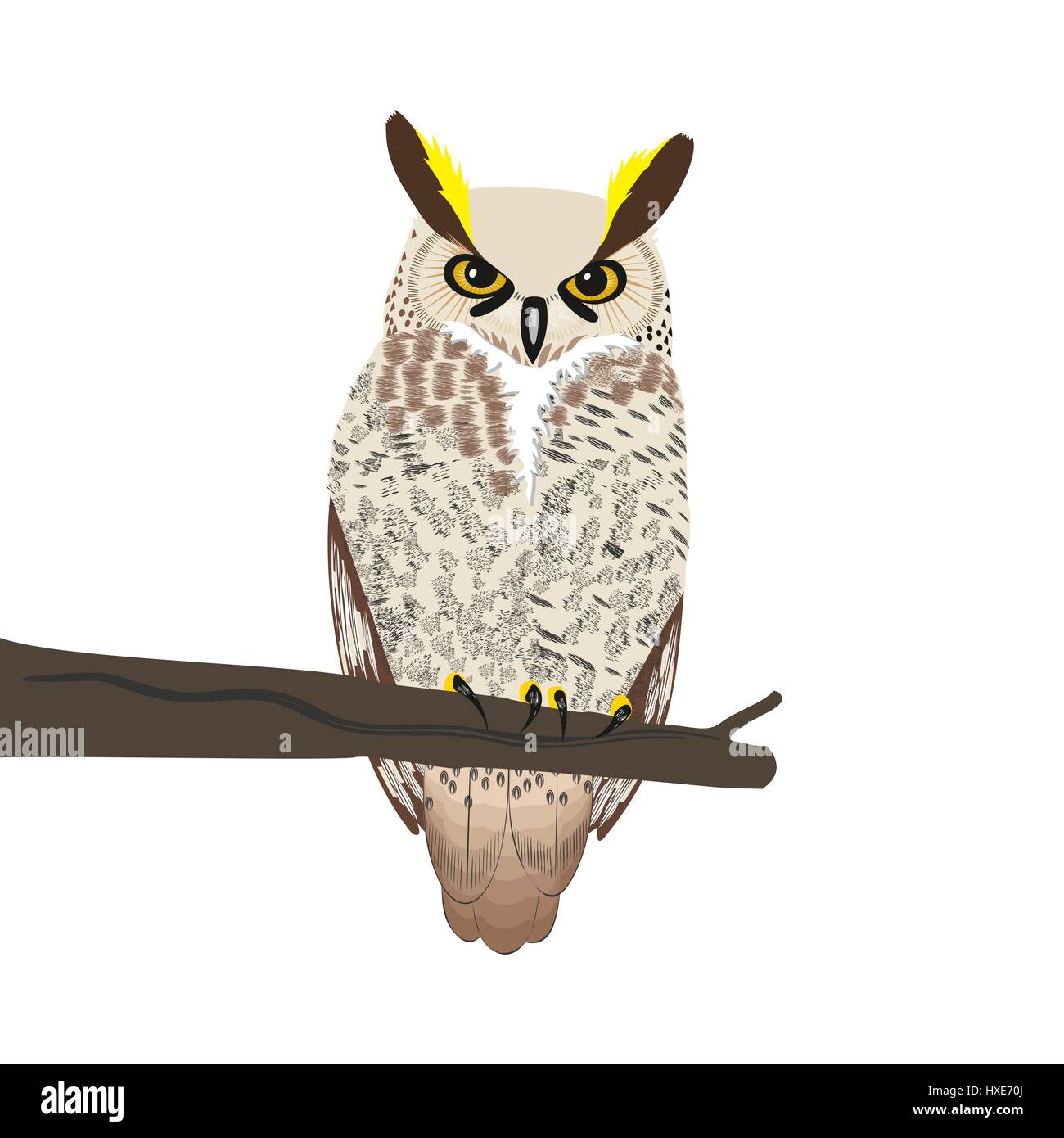 Owl sits on a tree branch isolated on white background. Stock Vector