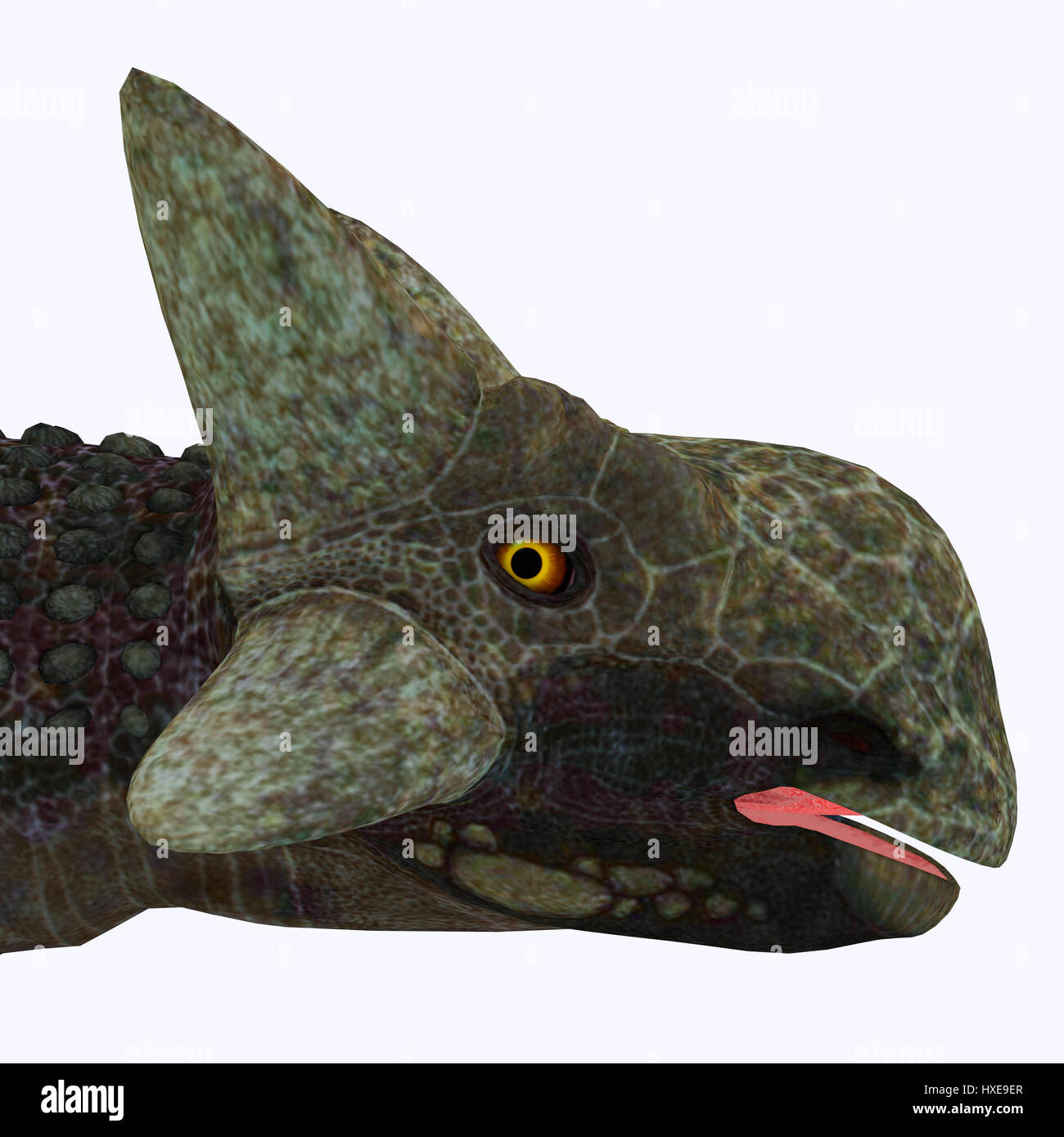 My Image 38