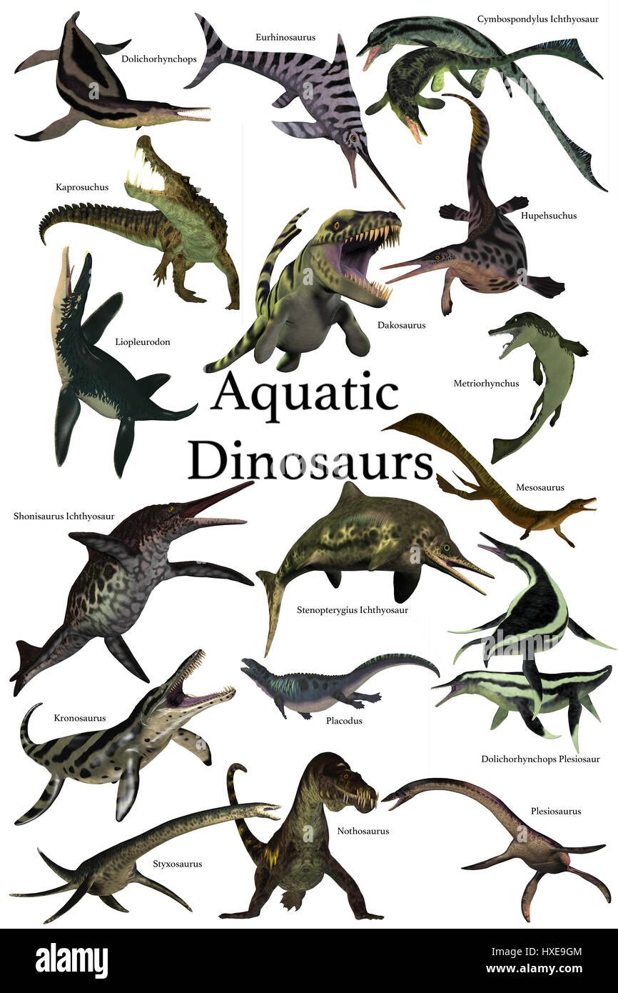 Aquatic Dinosaurs - A collection of various marine reptile dinosaurs from different prehistoric periods of Earth's history. Stock Photo