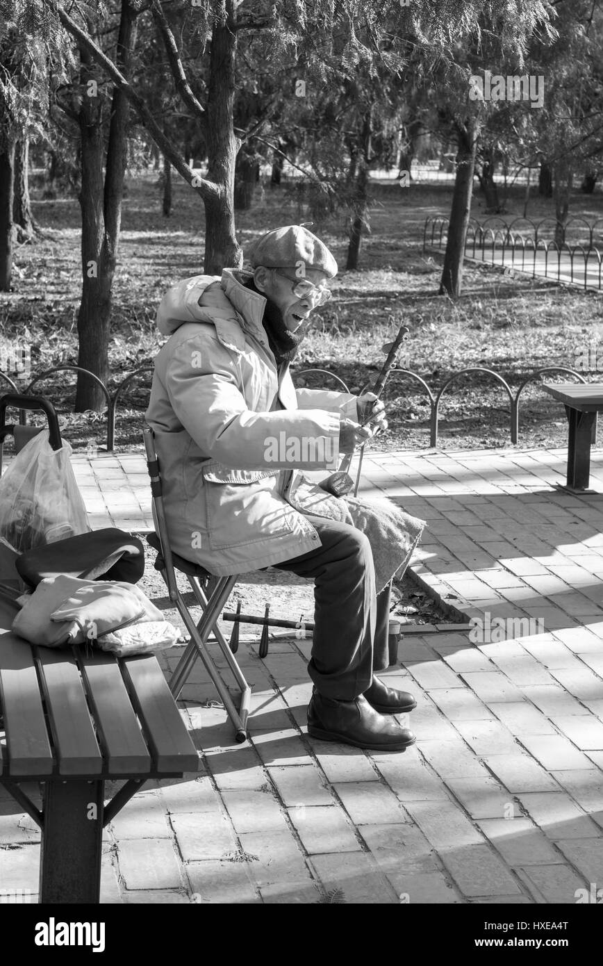 Elderly Chinese man playing the two stringed Chinese violin or Erhu on a winter day at the Temple of Heaven Park in Beijing. Stock Photo