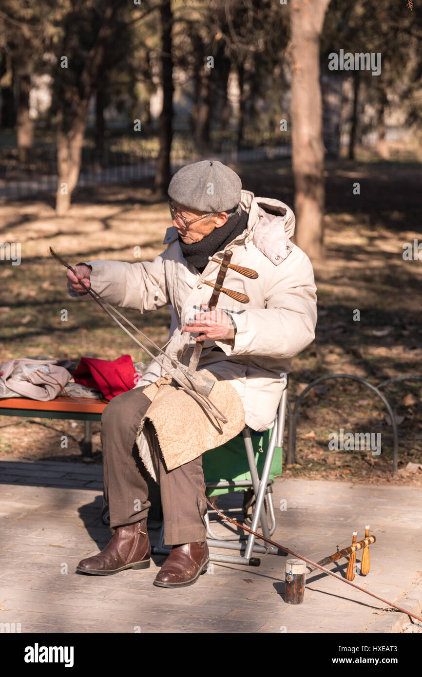 Elderly Chinese man playing the two stringed Chinese violin or Erhu on ...
