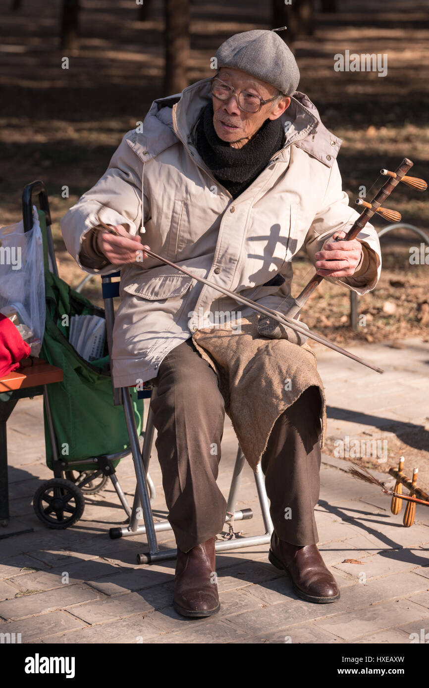 Elderly Chinese man playing the two stringed Chinese violin or Erhu on ...