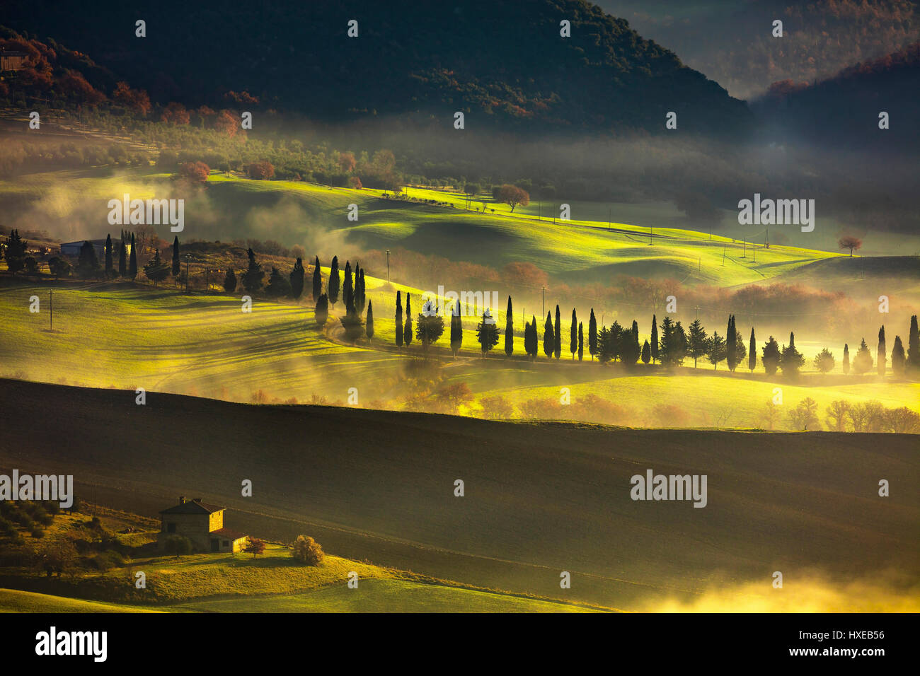 Tuscany foggy morning, farmland and cypress trees country landscape. Italy, Europe. Stock Photo