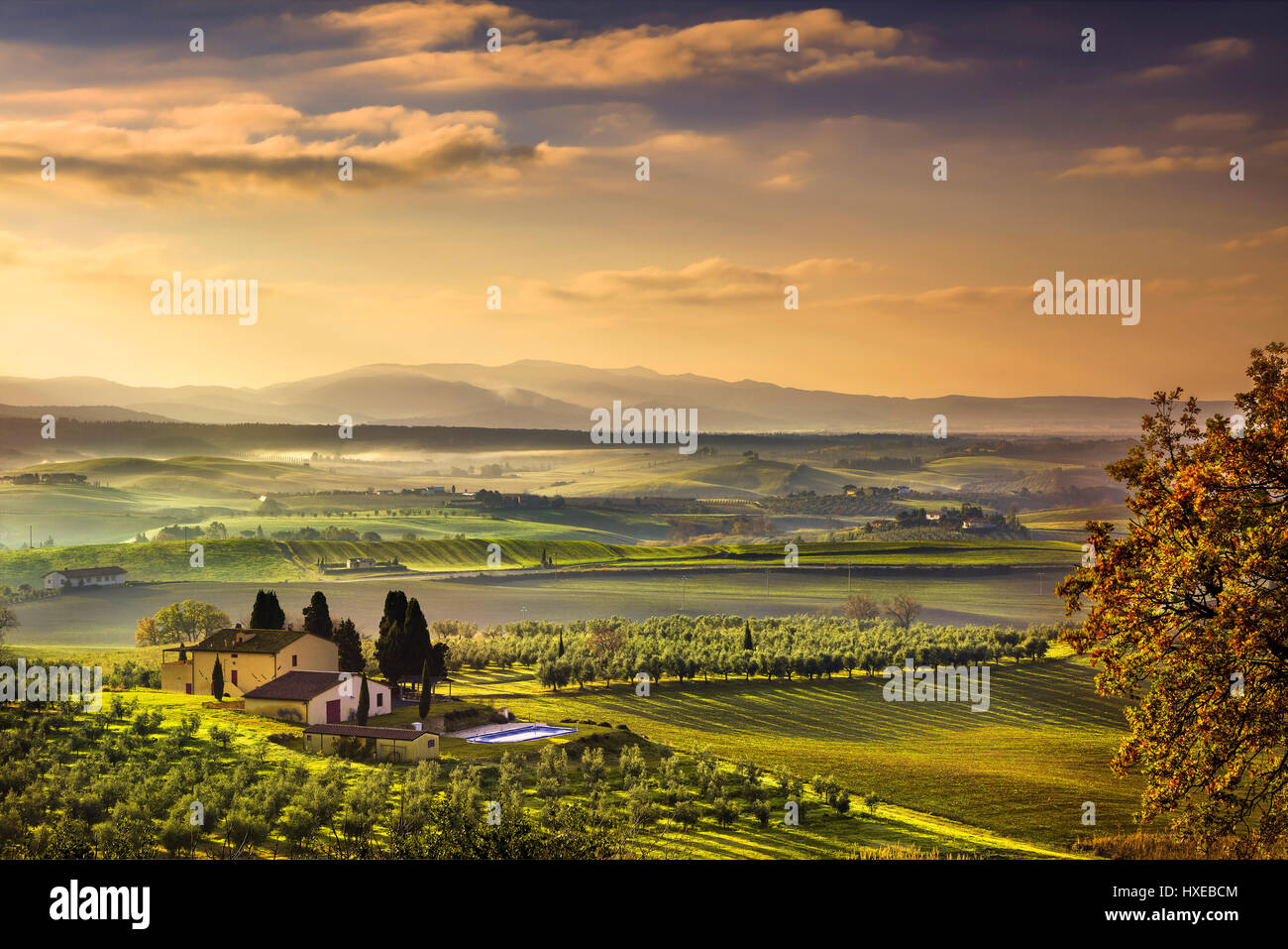 Tuscany Maremma foggy morning, farmland and green fields country landscape. Italy, Europe. Stock Photo