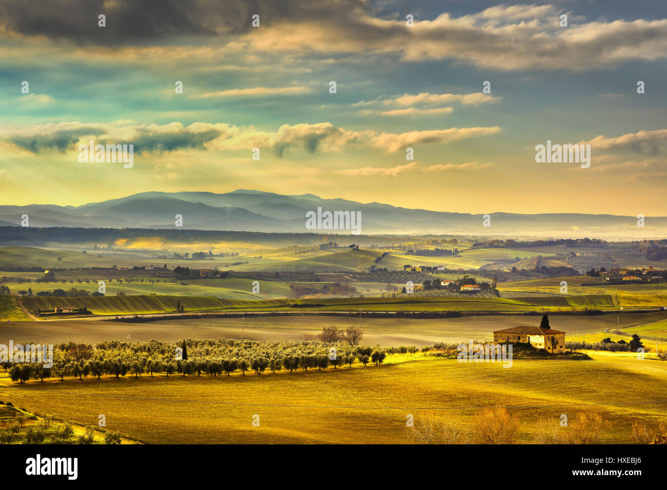 Tuscany Maremma foggy morning, farmland and green fields country landscape. Italy, Europe. Stock Photo
