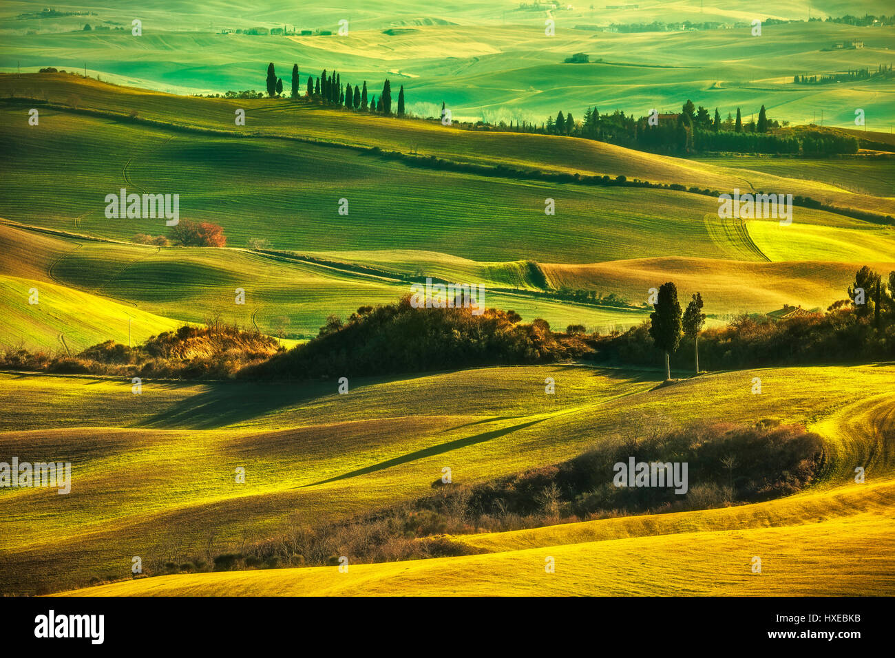 Tuscany spring, rolling hills on misty sunset. Rural landscape. Green fields and farmlands. Italy, Europe Stock Photo
