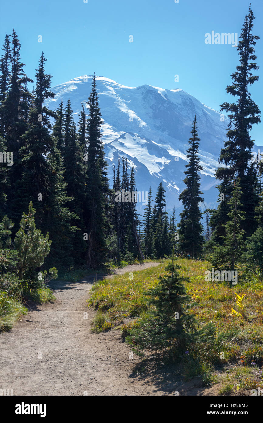 A flat stretch of the beautiful, easy Burroughs Mountain hiking trail provides spectacular views of the north-east face of Mount Rainier. Stock Photo